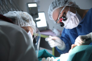 The Dental Law