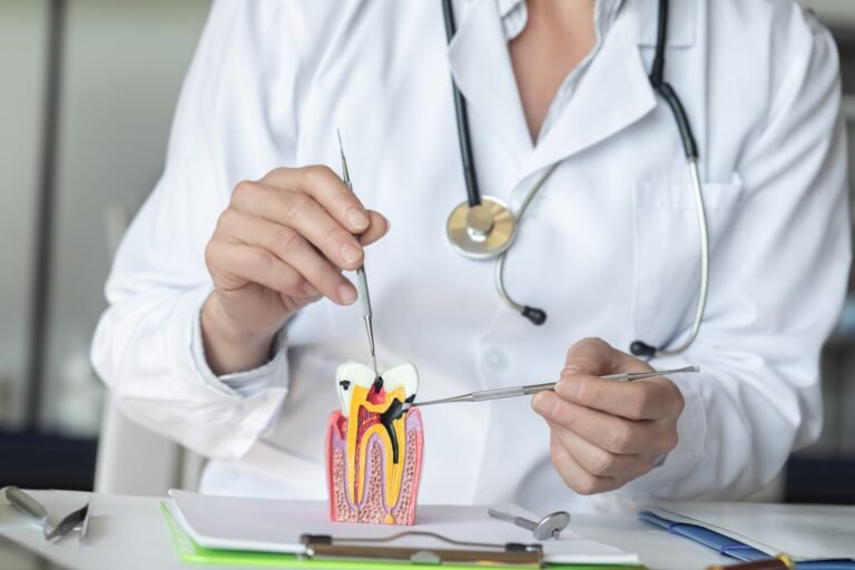 A doctor demonstrating a root canal procedure on a tooth model